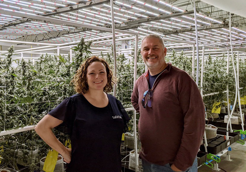 safetiva-on-site safetiva testing cannabis and growing area on site at grow facility